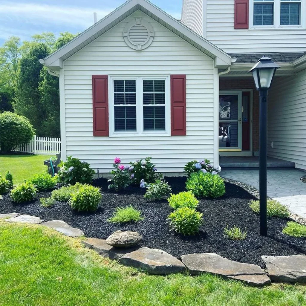 Well-maintained front yard garden with dark mulch, various shrubs, flowering plants, and stone edging near a white house with red shutters.