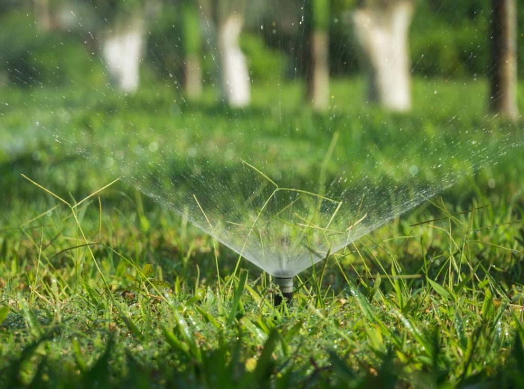 A sprinkler head spraying water over a green lawn in a sunny outdoor setting.