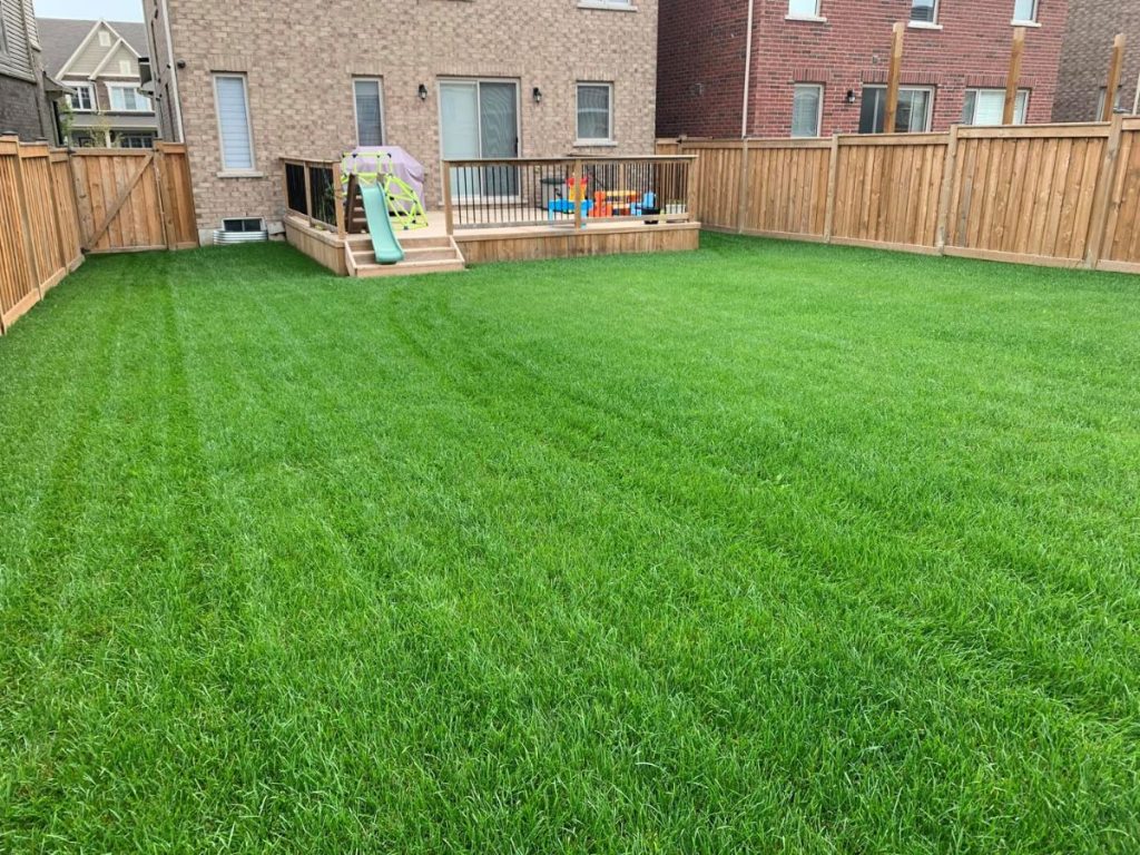 A freshly mowed, lush green backyard lawn enclosed by a wooden fence, with a wooden deck and children’s play equipment attached to a brick house.