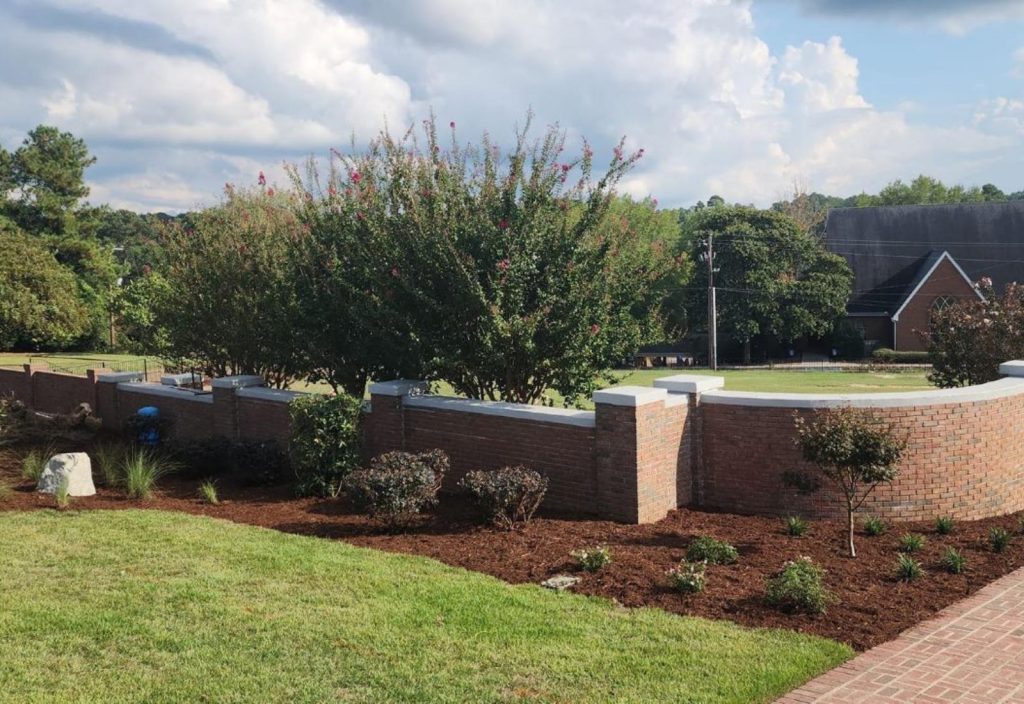 Freshly mulched garden bed with small shrubs and a brick wall backdrop in a residential area.