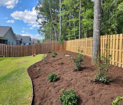 Backyard landscaping with mulch beds and young shrubs along wooden fence. A backyard bordered by a tall wooden fence, featuring freshly mulched garden beds with small planted shrubs and a well-maintained lawn under a bright blue sky.