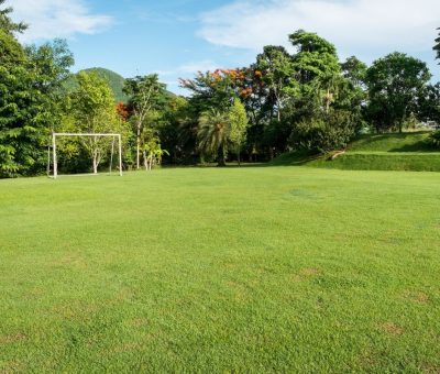 A grassy soccer field with a single goalpost surrounded by lush green trees under a partly cloudy sky.