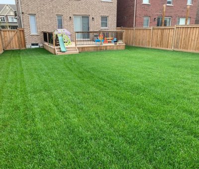 Well-maintained backyard lawn with deck and play area. A freshly mowed, lush green backyard lawn enclosed by a wooden fence, with a wooden deck and children’s play equipment attached to a brick house.