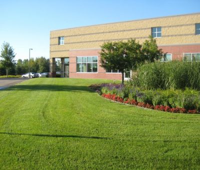 Professionally landscaped commercial property with lush green lawn. A commercial building with a neatly manicured lawn, landscaped flower bed, and shrubs along the side.