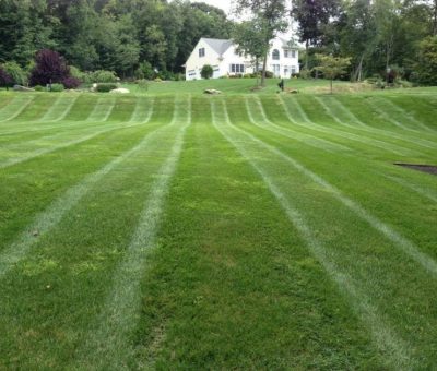 Beautifully striped lawn in a residential backyard. A well-maintained lawn with visible mowing stripes, leading up to a white house in the background surrounded by trees and greenery.